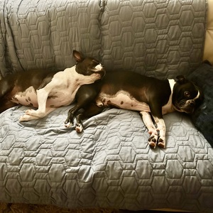 Fundraising Page: Lisa Hagerty